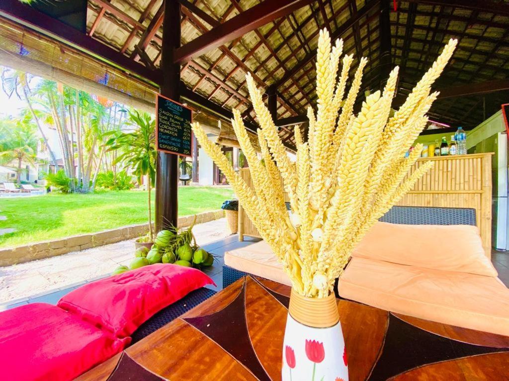 Jaguar House Resort Muine Mui Ne Exterior photo